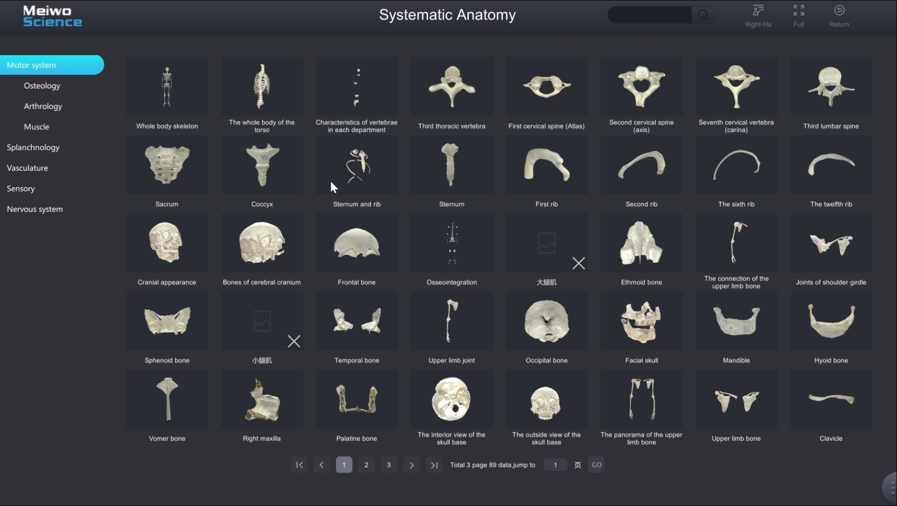 meiwo system anatomy