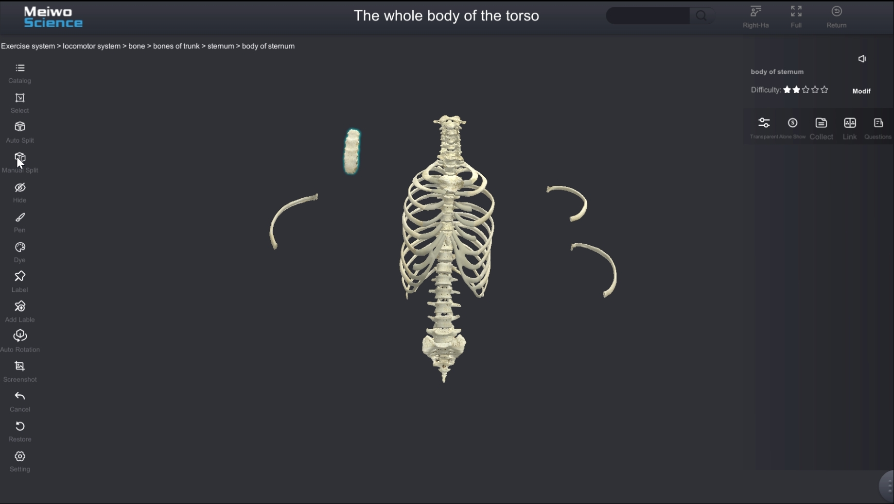 meiwo human anatomy software function