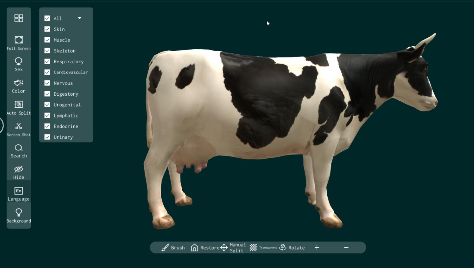 cow anatomy software