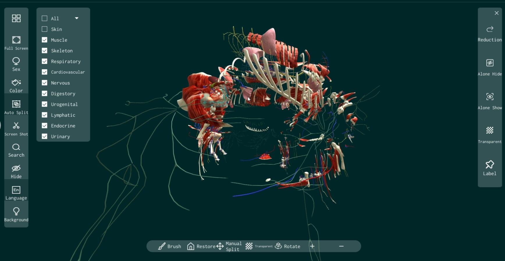 3d animal anatomy software