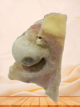 Eye and extraocular muscle plastinated specimen
