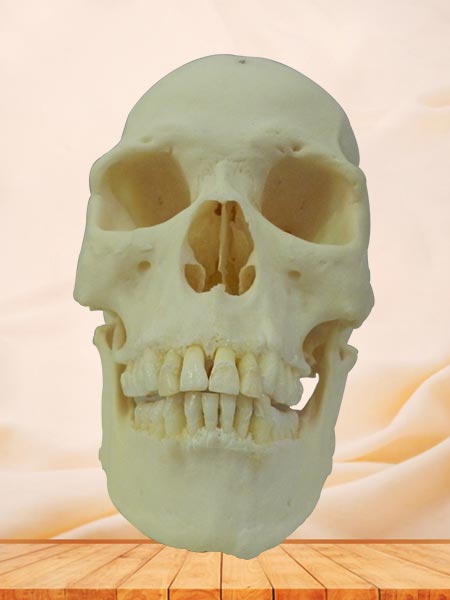 super human skull