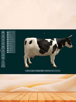 3D Animal Anatomy Software