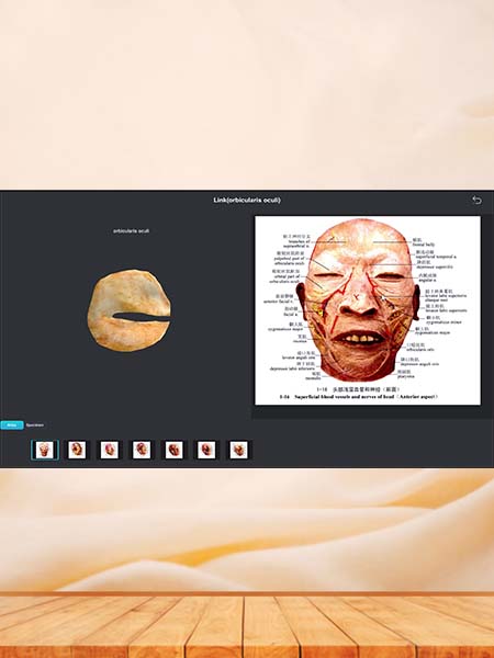 3D Human Anatomy Software