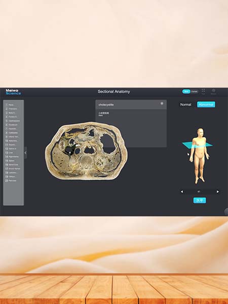 3D Human Anatomy Software