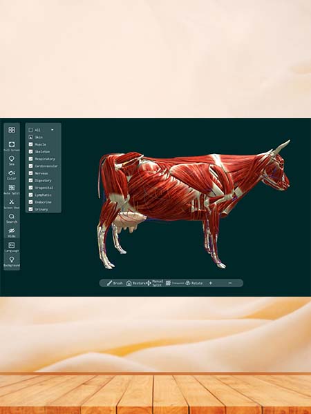 3D Animal Anatomy Software