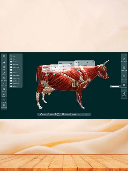 3D Animal Anatomy Software