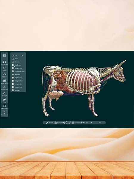 3D Animal Anatomy Software