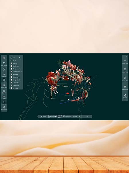 3D Animal Anatomy Software