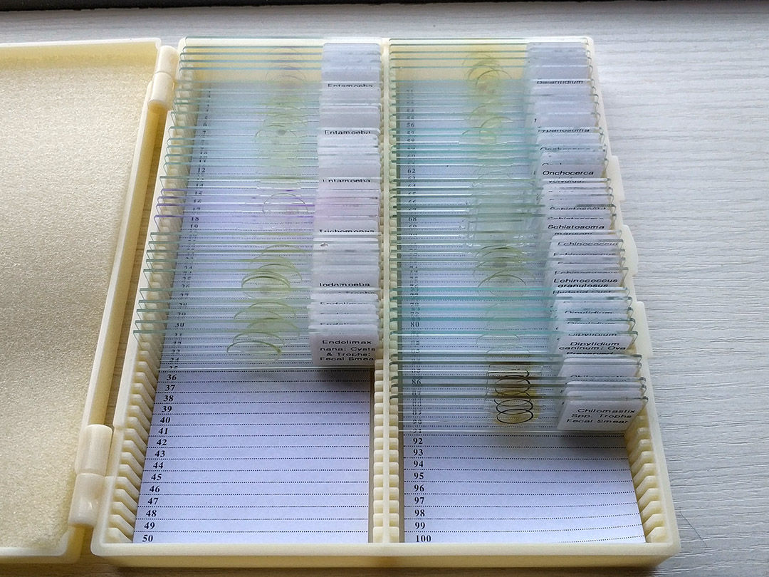 Meiwo's Microscope Slides Are Ready For Shipment