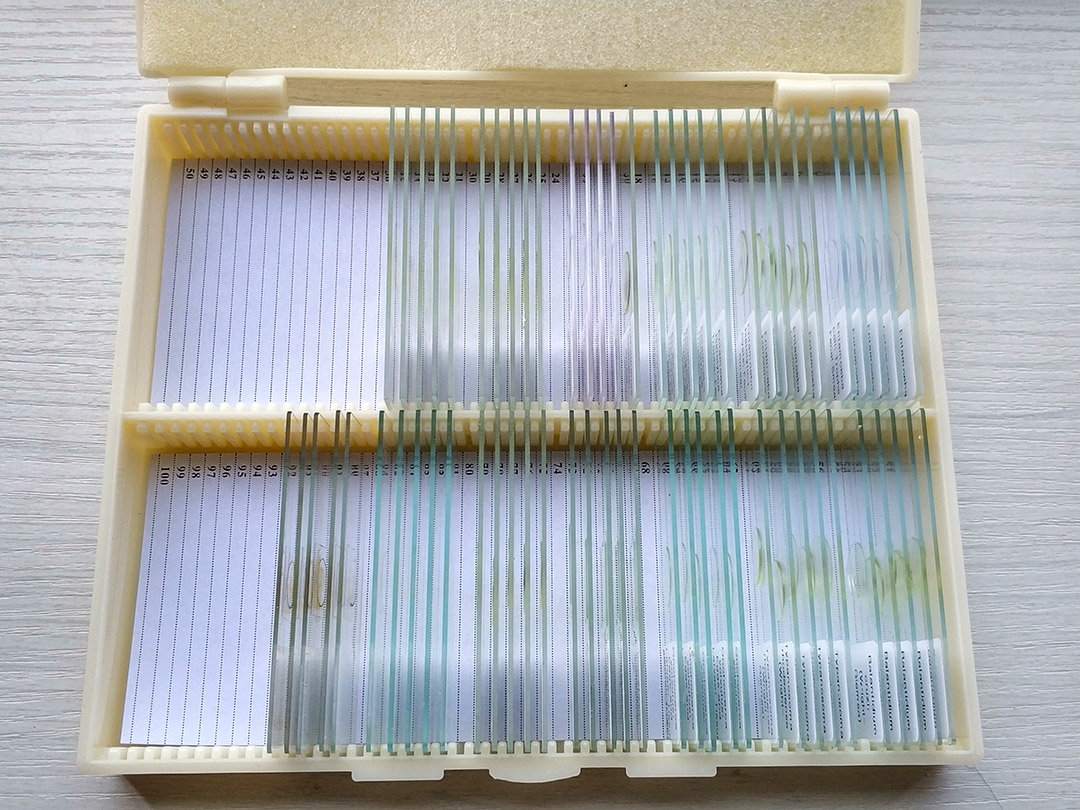 Meiwo's Microscope Slides Are Ready For Shipment