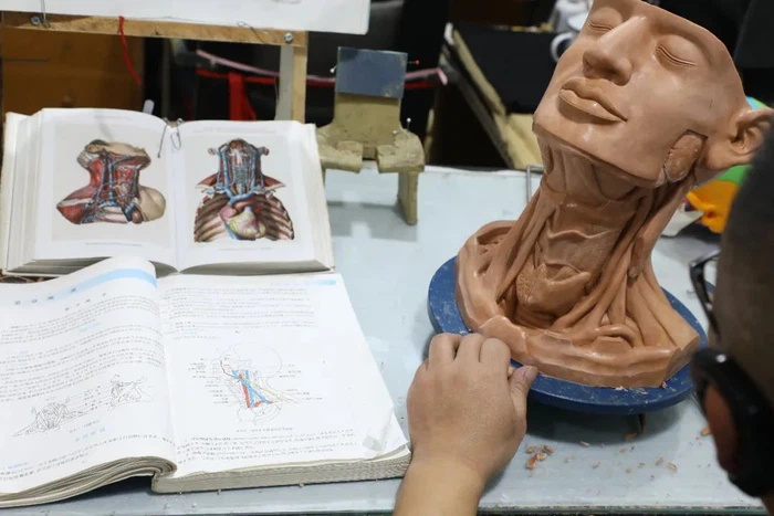 Do You Know How to Make Soft Silicone Anatomical Model?