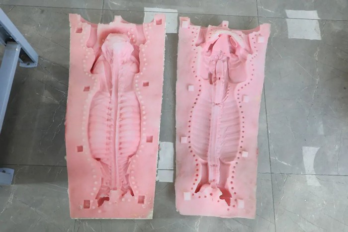 Do You Know How to Make Soft Silicone Anatomical Model?