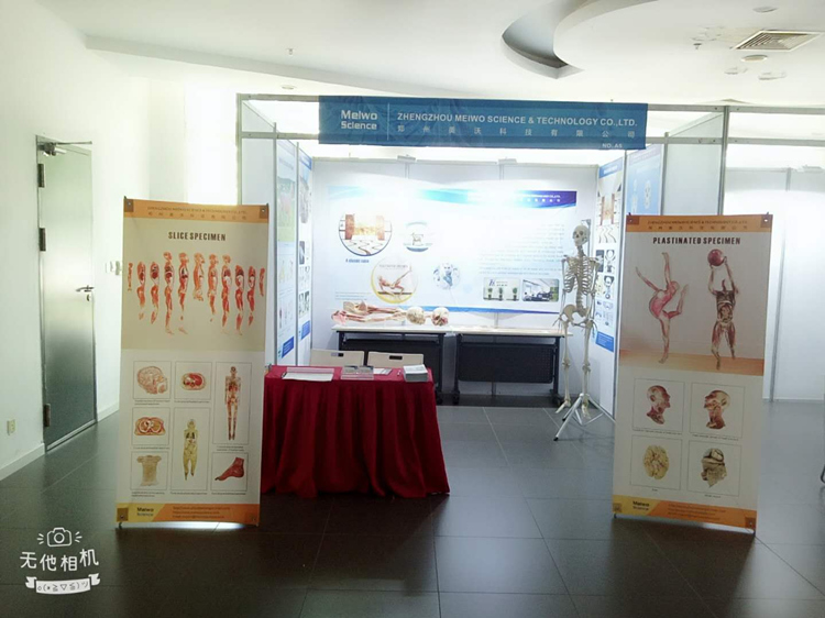 The 19th International Conference On Plastination