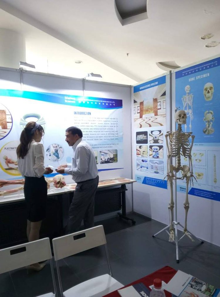 The 19th International Conference On Plastination