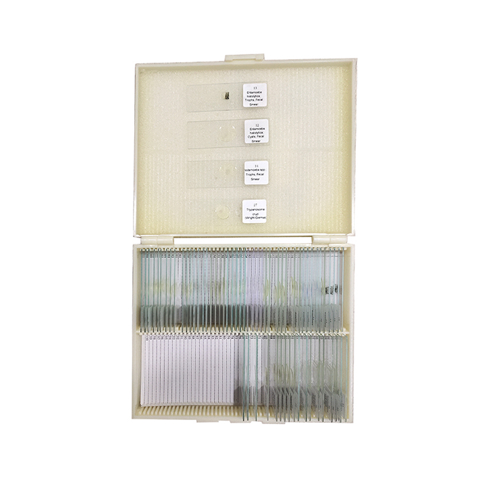 Biological Microscope Slides