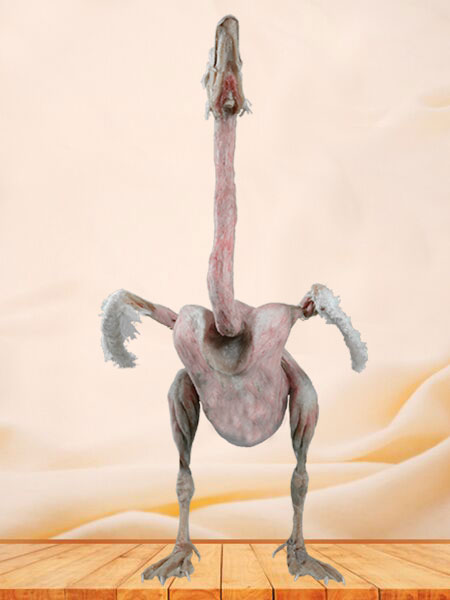 Goose plastinated speimen