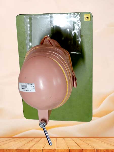 Head and neck anatomy section model