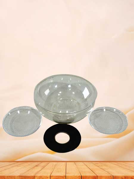 Lens iris cornea vitreous body model