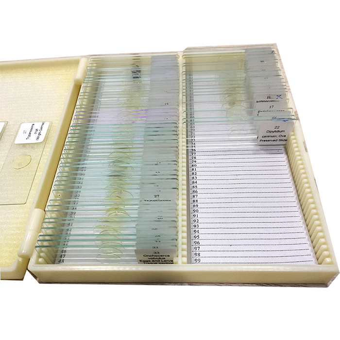 Biological Microscope Slides