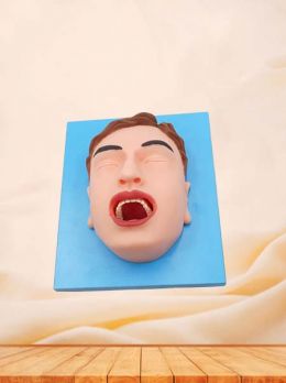 Oral Cavity Anatomy Model