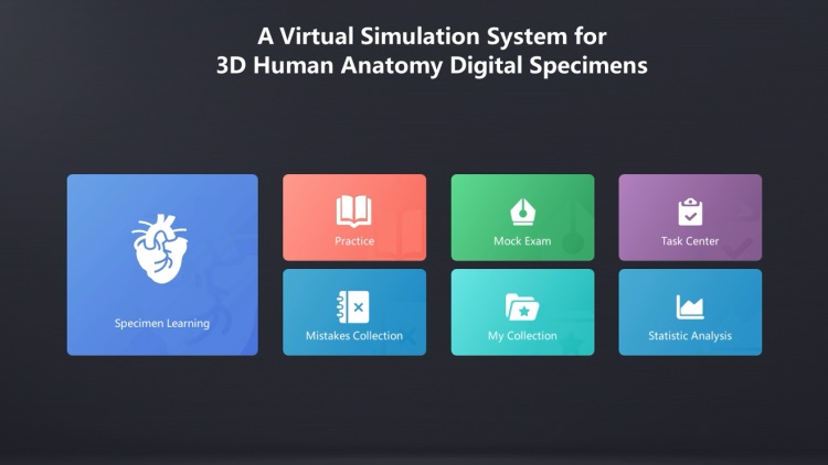 3d digital human