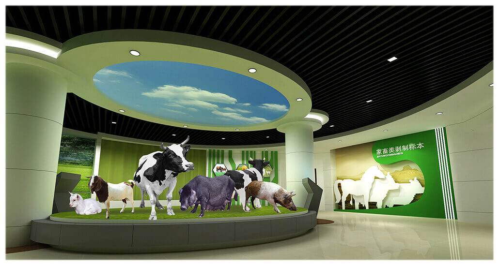 Animal Science Museum-13