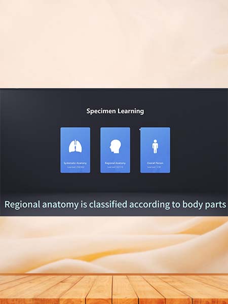 3D Digital Human Anatomy Specimen Database